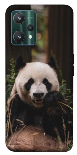 Чехол на Realme 9 Pro Панда фото 1 из 1