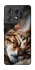 Чохол на Motorola Edge 50 Pro Cat paws фото 1 з 1