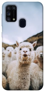 Чохол на Samsung Galaxy M31 Лама фото 1 з 1