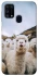 Чохол на Samsung Galaxy M31 Лама фото 1 з 1