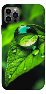 Чехол на Apple iPhone 12 Pro (6.1") Flowers v16 фото 1 из 1