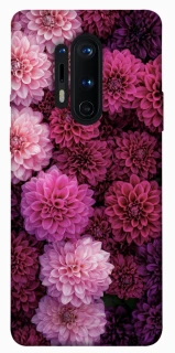 Чохол на OnePlus 8 Pro Garden1 фото 1 з 1