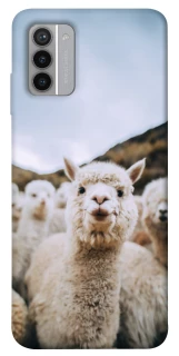 Чохол на Nokia G42 Лама фото 1 з 1