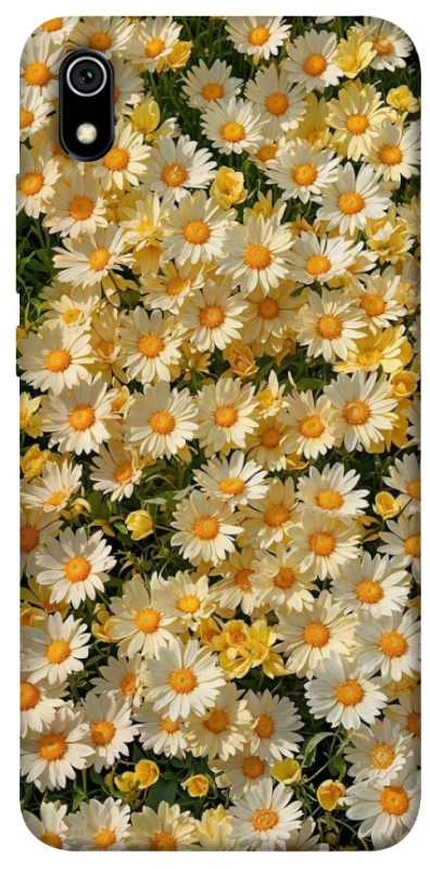 Чохол на Xiaomi Redmi 7A Camomile фото 1 з 1