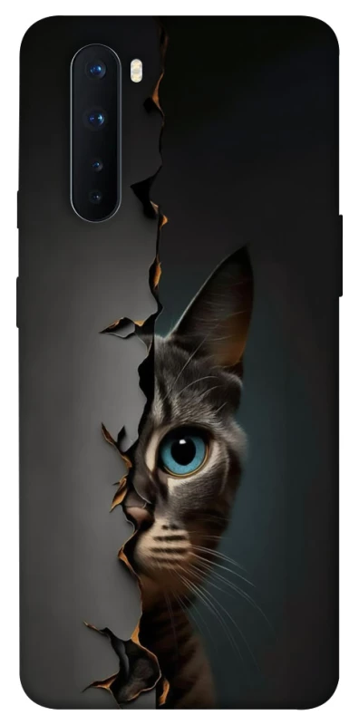 Чехол на OnePlus Nord Кот-подглядыватель v2 фото 1 из 1