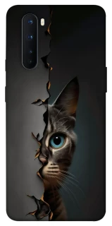 Чехол на OnePlus Nord Кот-подглядыватель v2 фото 1 из 1