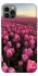 Чехол на Apple iPhone 12 Pro (6.1") Spring Awakening фото 1 из 1