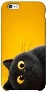 Чохол на Apple iPhone 6/6s (4.7") This is Cat фото 1 з 1