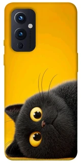 Чехол на OnePlus 9 This is Cat фото 1 из 1