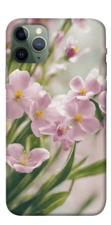 Чехол на Apple iPhone 11 Pro (5.8") Spring фото 1 из 1