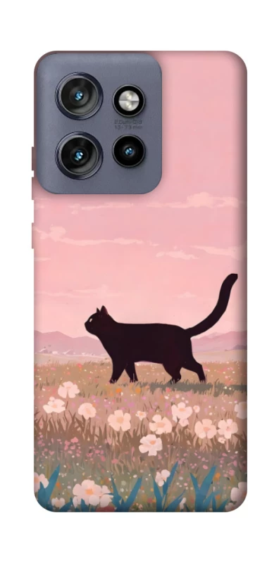 Чохол на Motorola Edge 50 Neo cat on a field фото 1 з 1