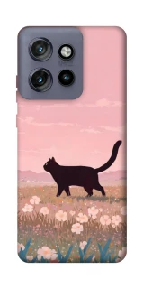 Чехол на Motorola Edge 50 Neo cat on a field фото 1 из 1