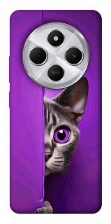 Чохол на Xiaomi Redmi 14C / Poco C75 Кіт-підглядач фото 1 з 1