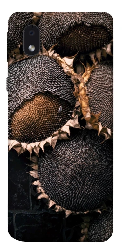 Чохол на Samsung Galaxy M01 Core / A01 Core Dreams2 фото 1 з 1