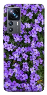 Чохол на Xiaomi 12T / 12T Pro Flowers v17 фото 1 з 1