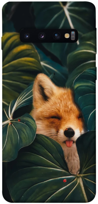 Чохол на Samsung Galaxy S10 Fox фото 1 з 1