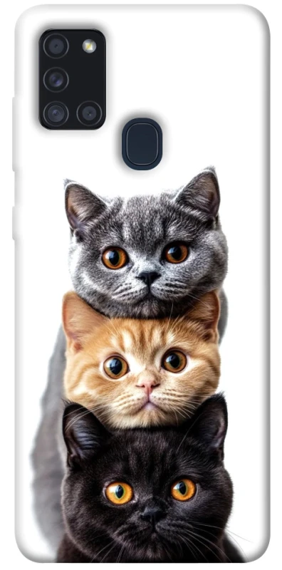 Чохол на Samsung Galaxy A21s Гарні котики фото 1 з 1