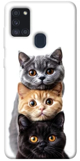 Чохол на Samsung Galaxy A21s Гарні котики фото 1 з 1