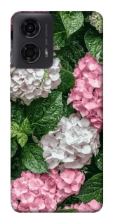 Чохол на Motorola Moto G24 Secret Garden фото 1 з 1