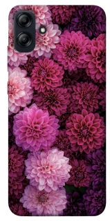 Чохол на Samsung Galaxy A04e Garden1 фото 1 з 1