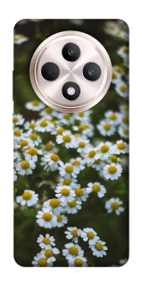 Чехол на Oppo Reno 12 F 4G/5G Ромашки v13 фото 1 из 1