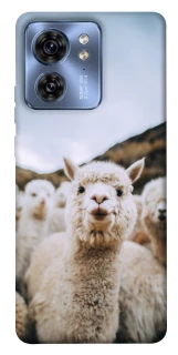 Чохол на Motorola Edge 40 Лама фото 1 з 1