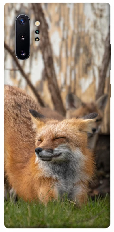 Чохол на Samsung Galaxy Note 10 Plus Лисиця фото 1 з 1