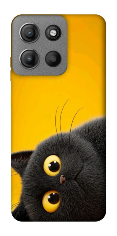 Чохол на Motorola Moto G15 Power This is Cat фото 1 з 1