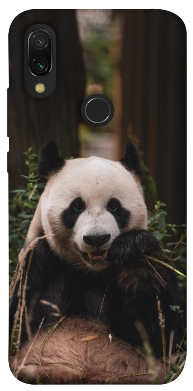 Чохол на Xiaomi Redmi 7 Панда фото 1 з 1