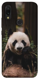 Чехол на Xiaomi Redmi 7 Панда фото 1 из 1