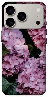 Чохол на Apple iPhone 17 Pro (6.3") Рожеві гартензії фото 1 з 1