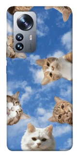 Чохол на Xiaomi 12 / 12X Сats фото 1 з 1