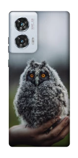 Чохол на Motorola Edge 50 Fusion Совеня фото 1 з 1