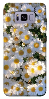Чохол на Samsung G955 Galaxy S8 Plus Поле ромашок фото 1 з 1