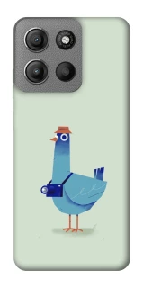 Чохол на Motorola Moto G15 4G Голуб-детектив фото 1 з 1