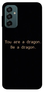 Чехол на Samsung Galaxy M13 4G House of the Dragon ver.9 фото 1 из 1
