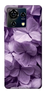 Чохол на ZTE Blade V50 Vita Floral Symphony фото 1 з 1