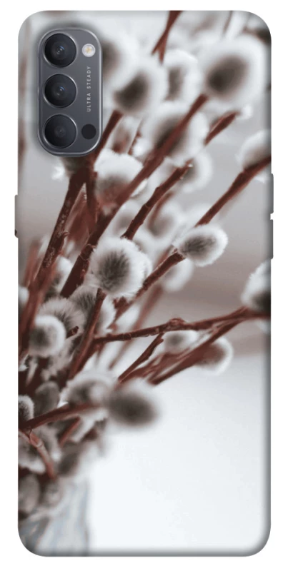 Чехол на Oppo Reno 4 Magic фото 1 из 1