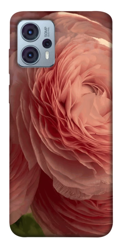 Чохол на Motorola Moto G23 Elegance фото 1 з 1