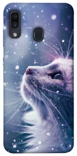 Чехол на Samsung Galaxy A20 / A30 Snow cat фото 1 из 1