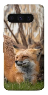 Чохол на Google Pixel 8 Pro Лисиця фото 1 з 1