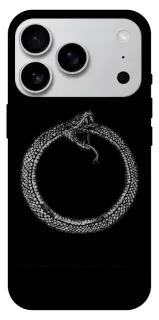 Чехол на Apple iPhone 18 Pro Max Ouroboros фото 1 из 1