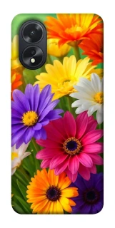 Чохол на Oppo A18 Flowers v32 фото 1 з 1