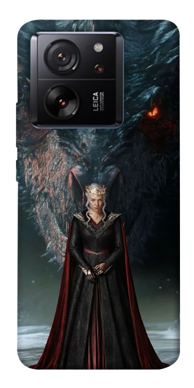 Чехол на Xiaomi 13T House of the Dragon ver.7 фото 1 из 1