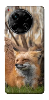 Чехол на TECNO Camon 30 (CL6) Лиса фото 1 из 1