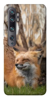 Чохол на Xiaomi Mi Note 10 / Note 10 Pro / Mi CC9 Pro Лисиця фото 1 з 1