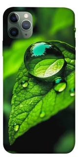 Чехол на Apple iPhone 11 Pro Max (6.5") Flowers v16 фото 1 из 1