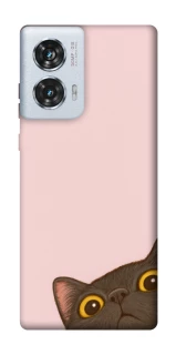 Чехол на Motorola Edge 50 Fusion Peeping cat фото 1 Чехол на Motorola Edge 50 Fusion Peeping cat фото 1 из 1