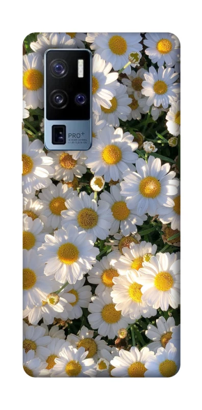 Чохол на Vivo X50 Pro+ Поле ромашок фото 1 з 1