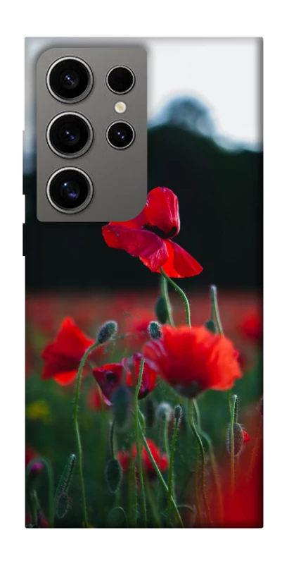 Чехол на Samsung Galaxy S24 Ultra Мак фото 1 из 1